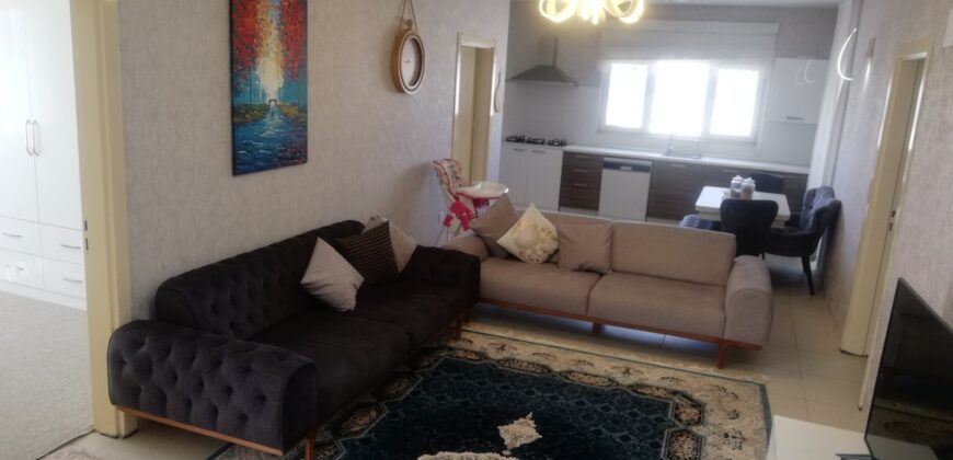 Furnished Apartment for Rent in Plus Life